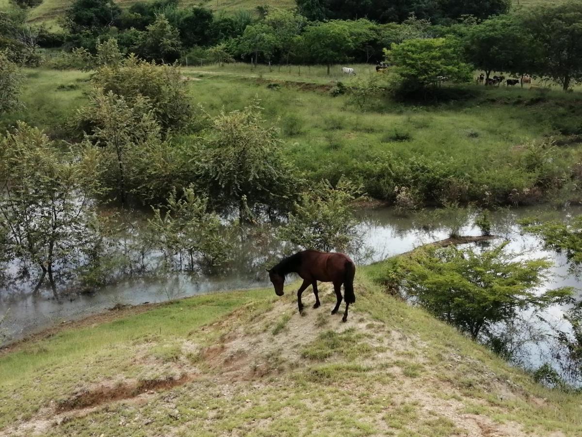 Finca Ecoturistica Los Jagueyes Baraya 外观 照片