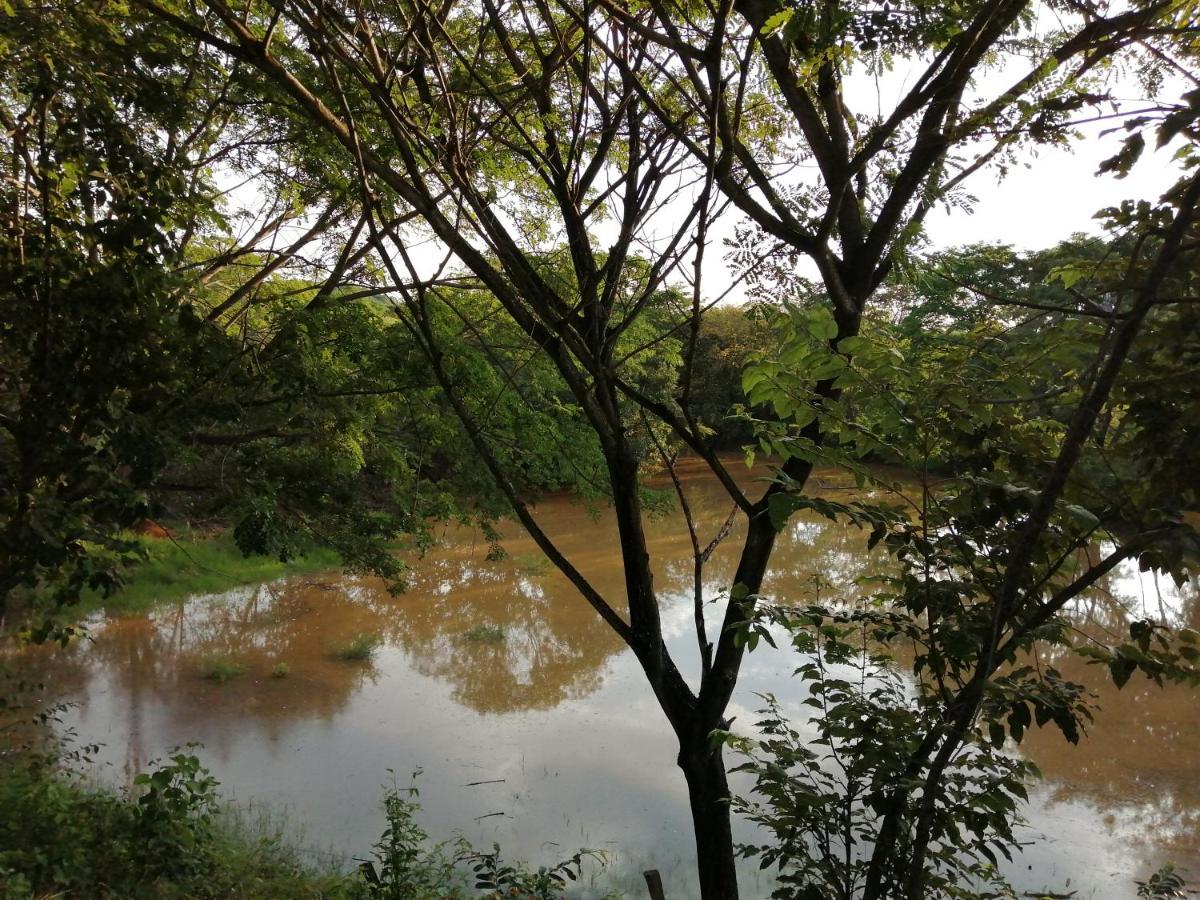 Finca Ecoturistica Los Jagueyes Baraya 外观 照片
