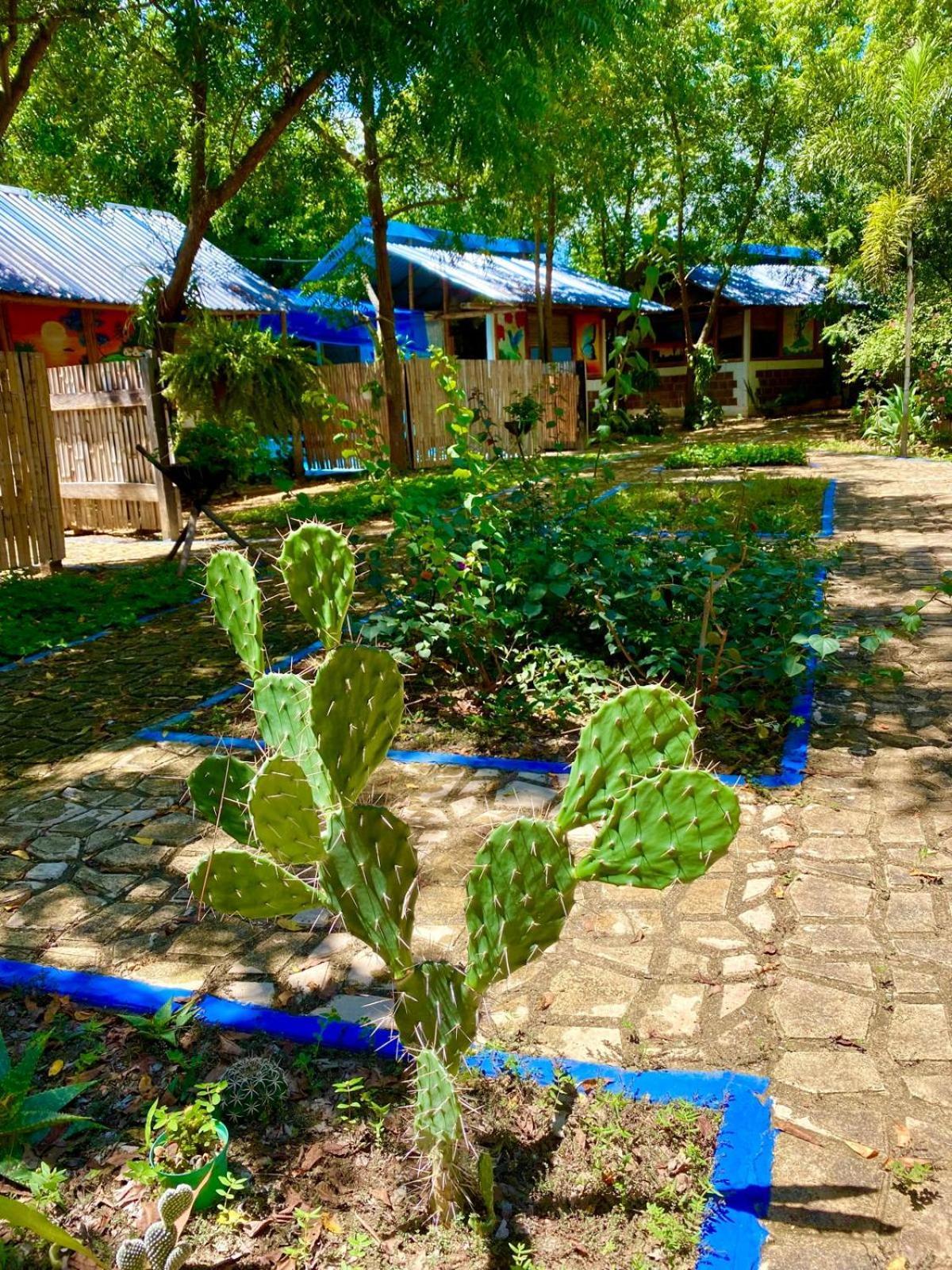 Finca Ecoturistica Los Jagueyes Baraya 外观 照片