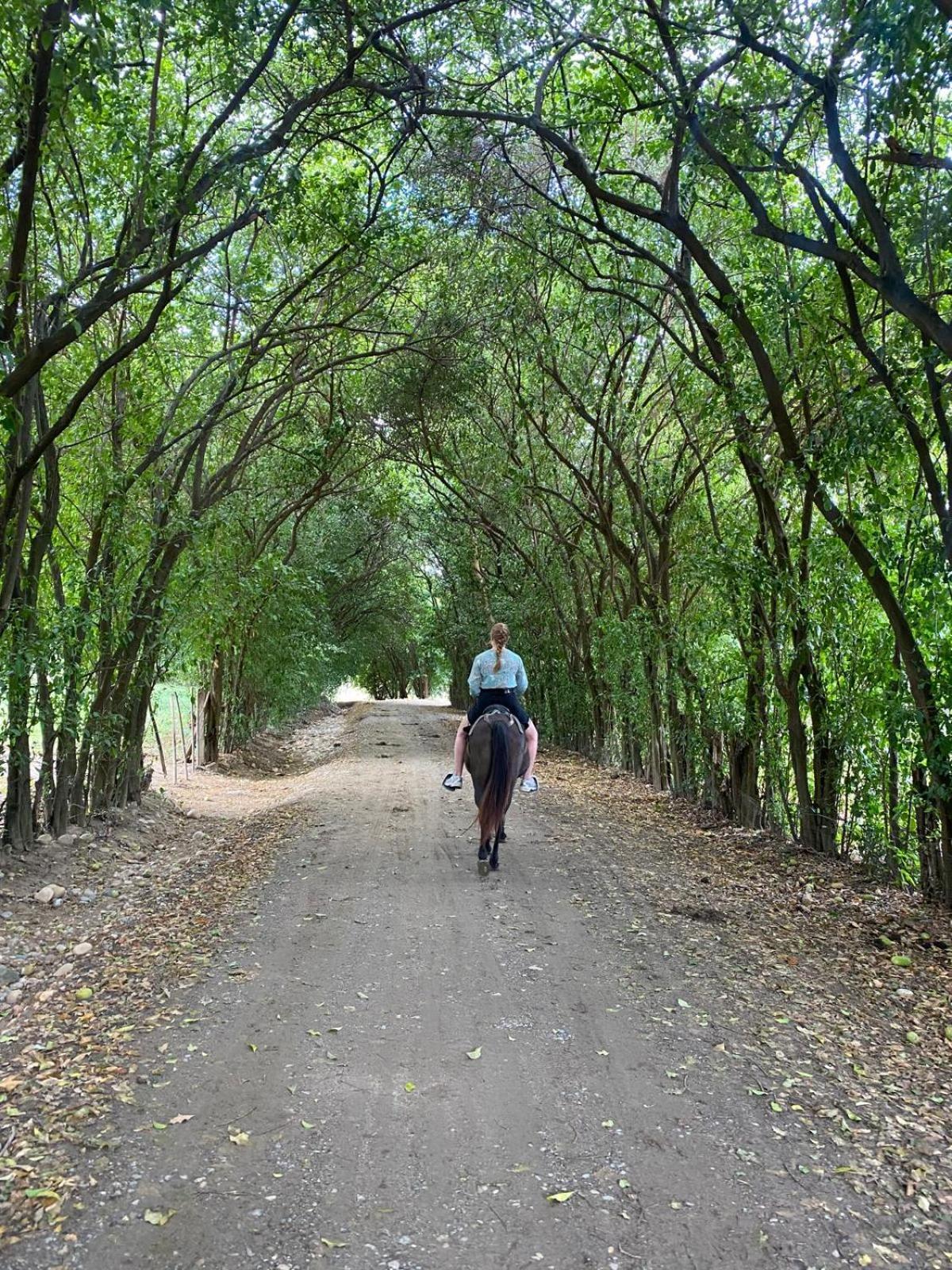 Finca Ecoturistica Los Jagueyes Baraya 外观 照片
